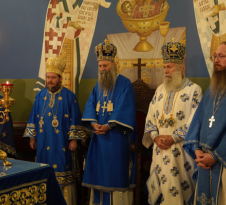 Патриарх Порфирий: Да будет воля Божия законом нашей жизни