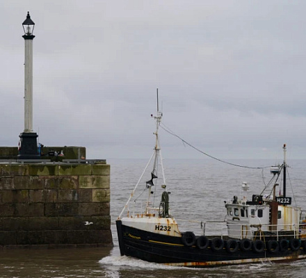 Католическое морское министерство призывает регулирующие органы поощрять права человека и защиту труда